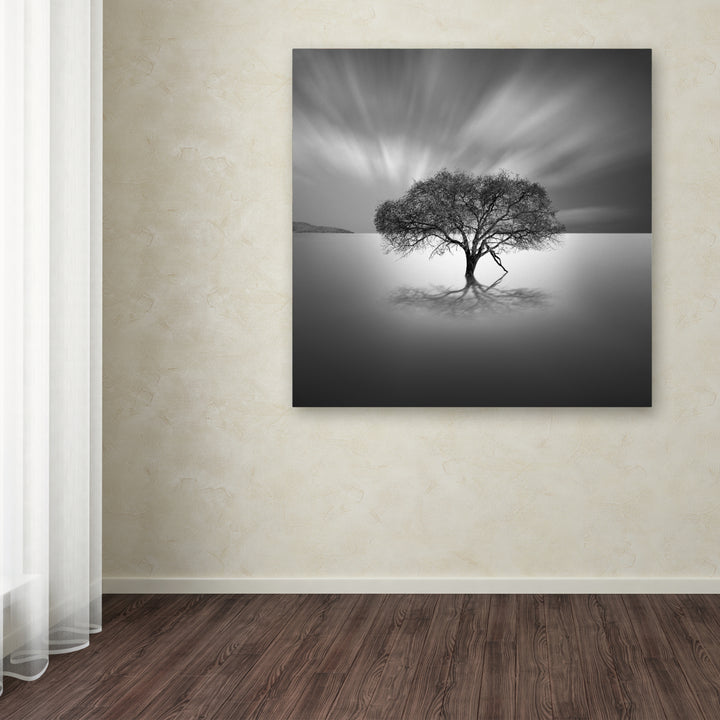 Moises Levy Water Tree VIII Huge Canvas Art 35 x 35 Image 4