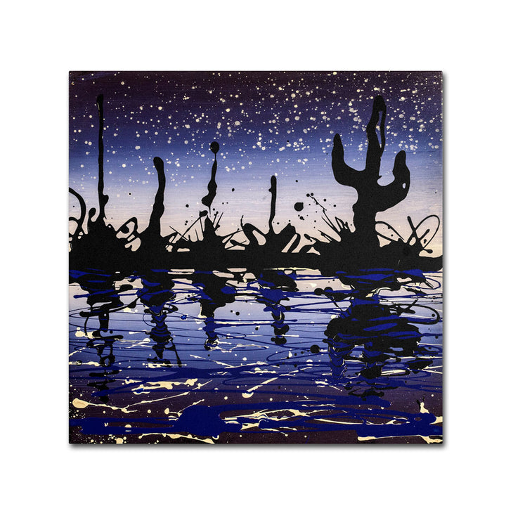 Roderick Stevens Desert Lake Huge Canvas Art 35 x 35 Image 1