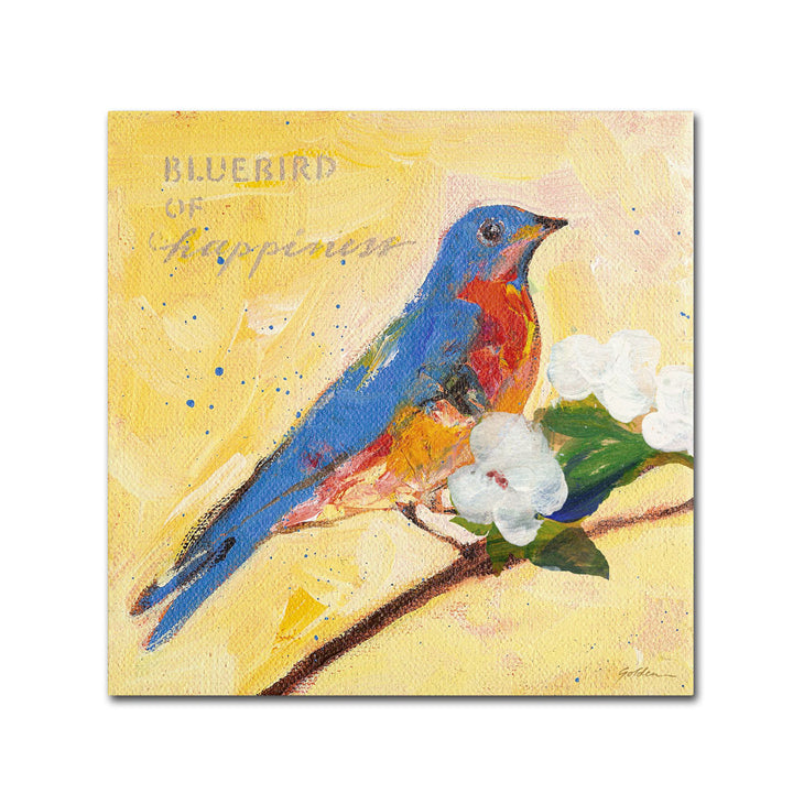 Sheila Golden Bluebird Huge Canvas Art 35 x 35 Image 1