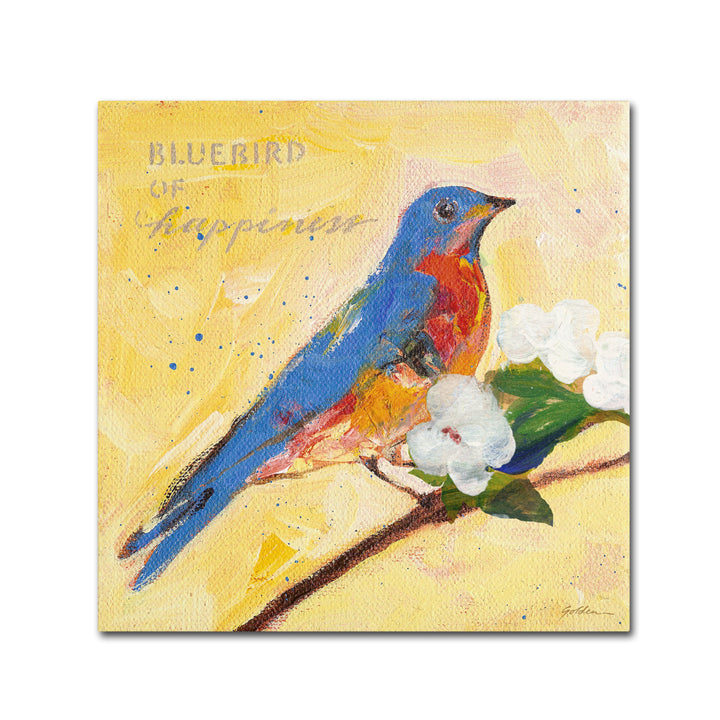 Sheila Golden Bluebird Huge Canvas Art 35 x 35 Image 2