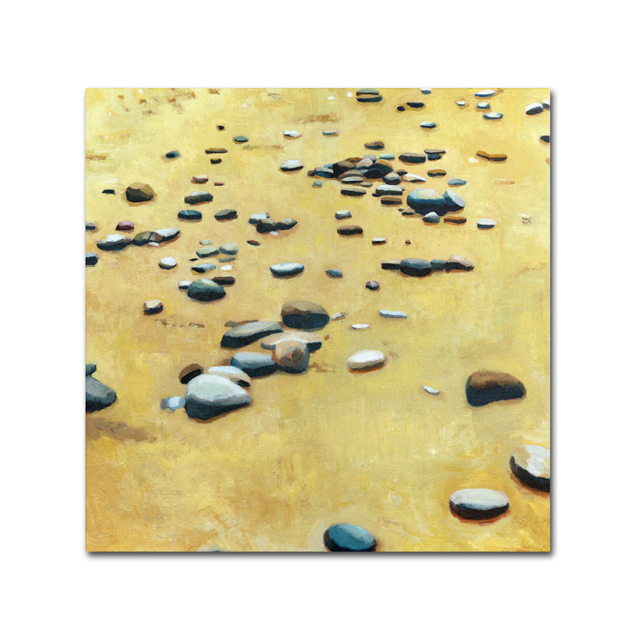 Michelle Calkins Pebbles on the Beach Huge Canvas Art 35 x 35 Image 1