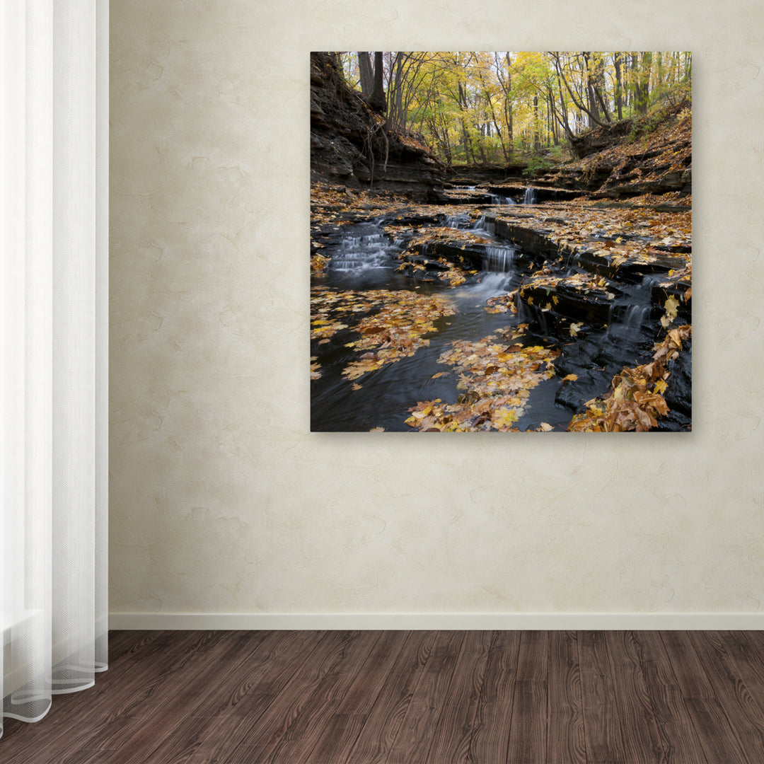 Kurt Shaffer Lakeview Autumn Falls Huge Canvas Art 35 x 35 Image 4