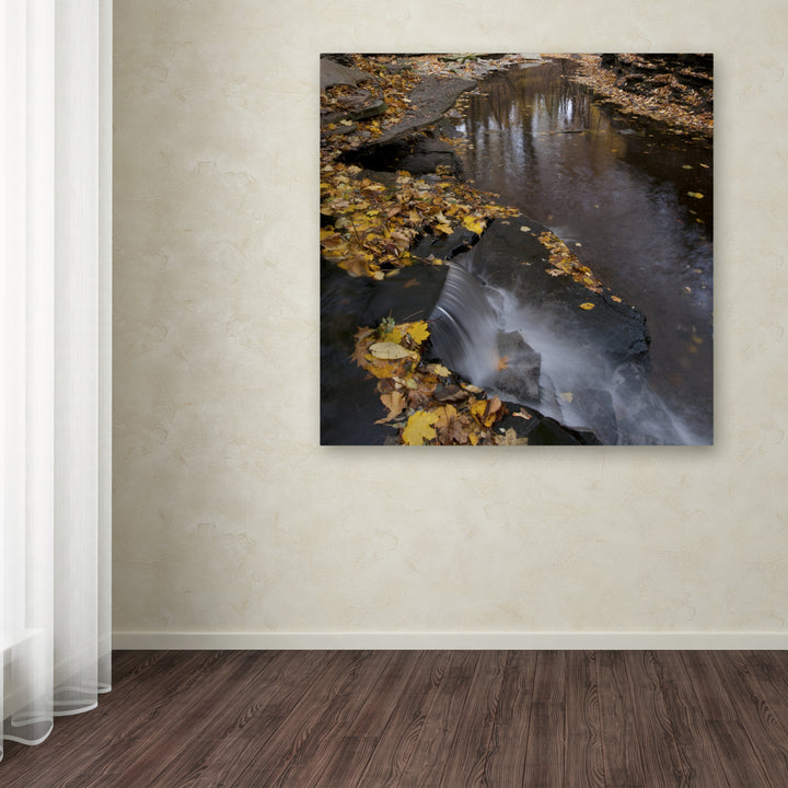 Kurt Shaffer Lakeview Autumn Waterfall 2 Huge Canvas Art 35 x 35 Image 4
