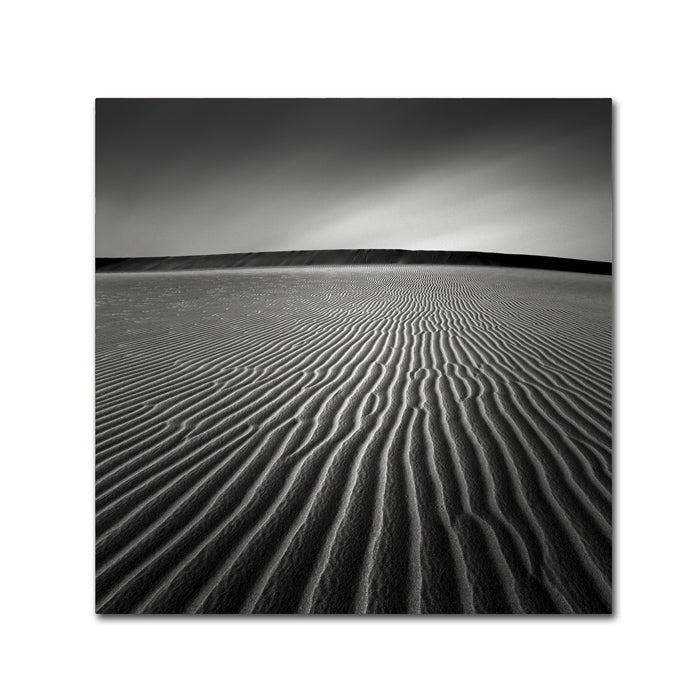 Dave MacVicar Ripples Huge Canvas Art 35 x 35 Image 1