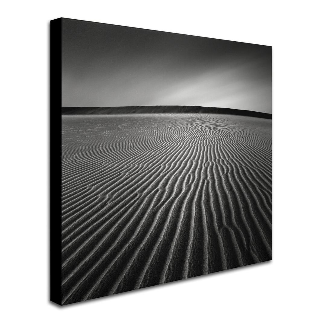 Dave MacVicar Ripples Huge Canvas Art 35 x 35 Image 3