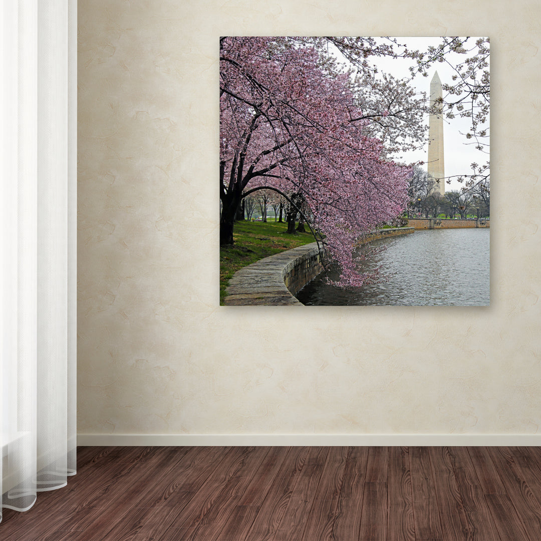 CATeyes Washington Blossoms Huge Canvas Art 35 x 35 Image 4