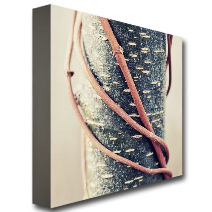 Philippe Sainte-Laudy Chained Huge Canvas Art 35 x 35 Image 4