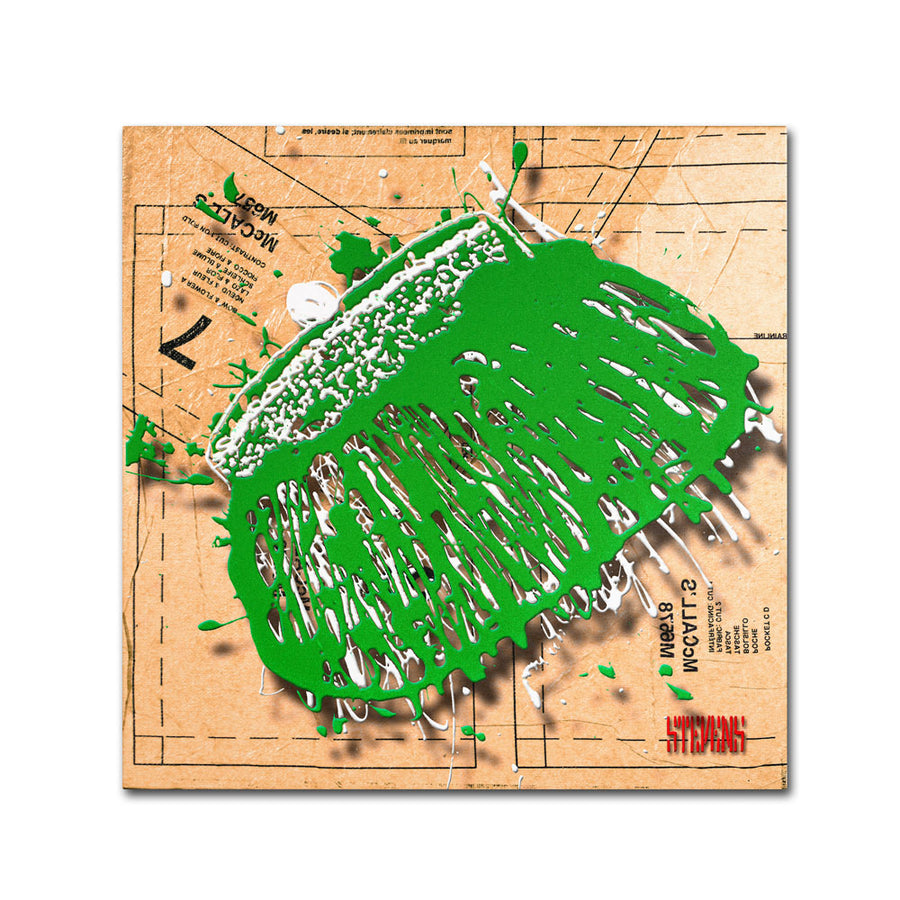 Roderick Stevens Snap Purse Green Huge Canvas Art 35 x 35 Image 1