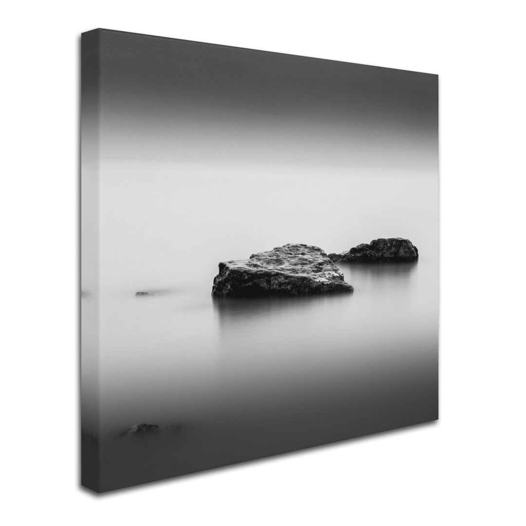 Dave MacVicar Simple Huge Canvas Art 35 x 35 Image 3