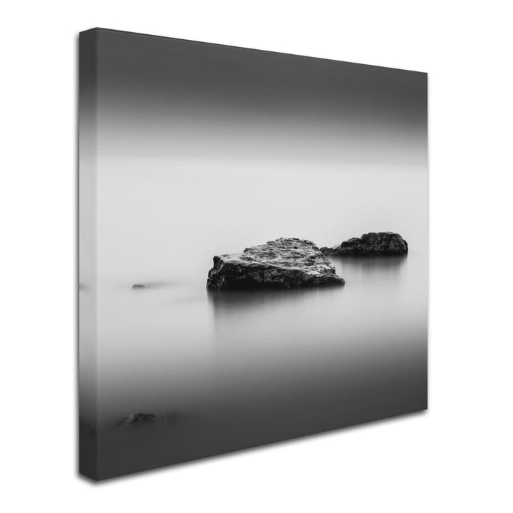 Dave MacVicar Simple Huge Canvas Art 35 x 35 Image 3