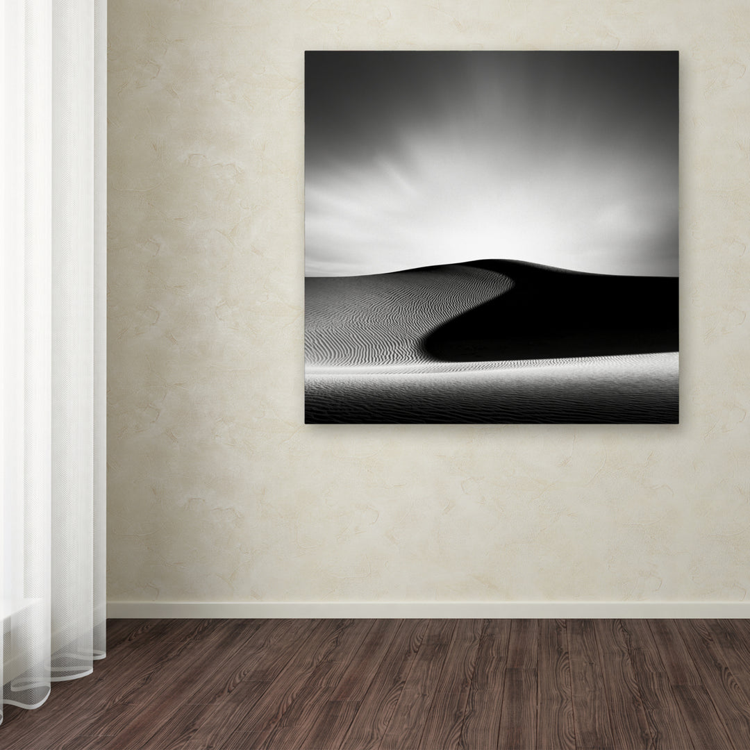 Dave MacVicar Dark Shadows Huge Canvas Art 35 x 35 Image 4