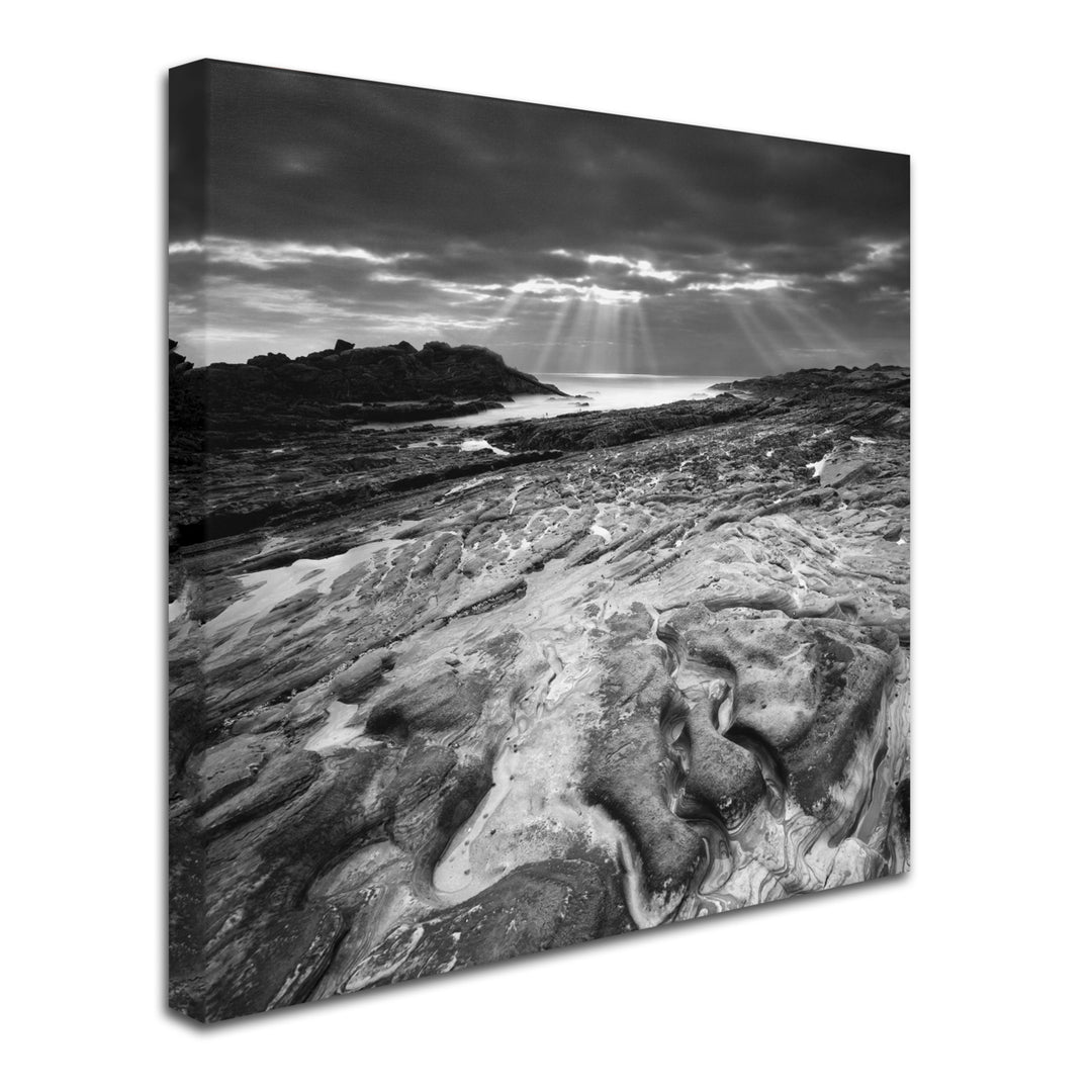 Moises Levy Sunset at Point Lobos Huge Canvas Art 35 x 35 Image 3