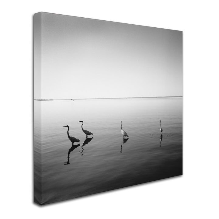 Moises Levy 4 Herons Huge Canvas Art 35 x 35 Image 3