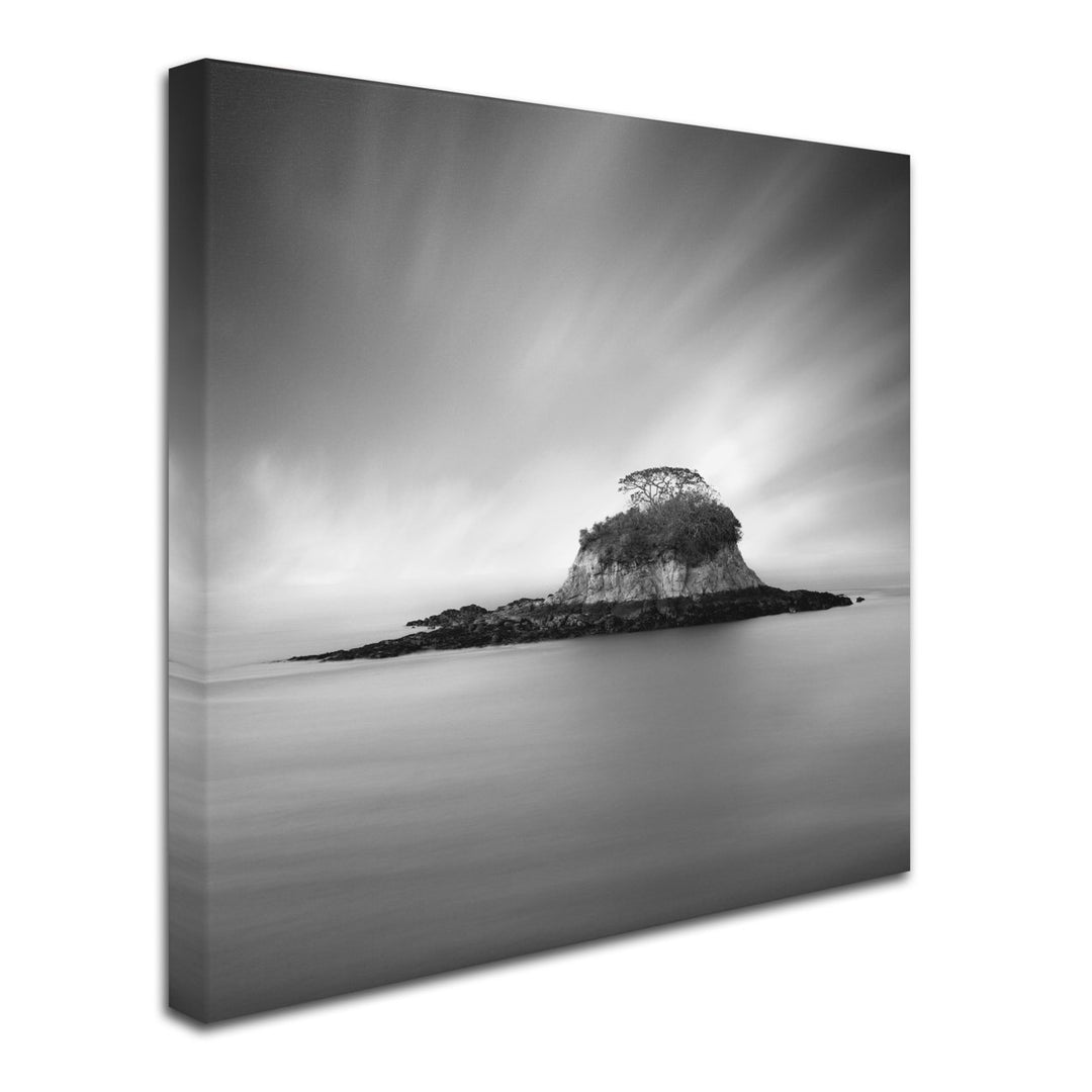 Moises Levy Rat Island Huge Canvas Art 35 x 35 Image 3