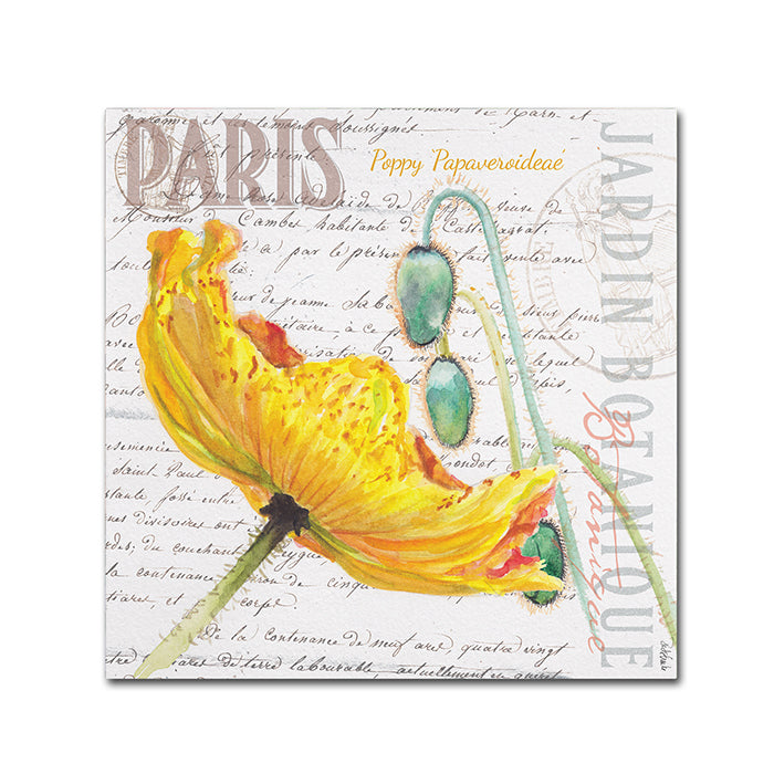 Jennifer Redstreake Paris Botanique Yellow Poppy Huge Canvas Art 35 x 35 Image 1