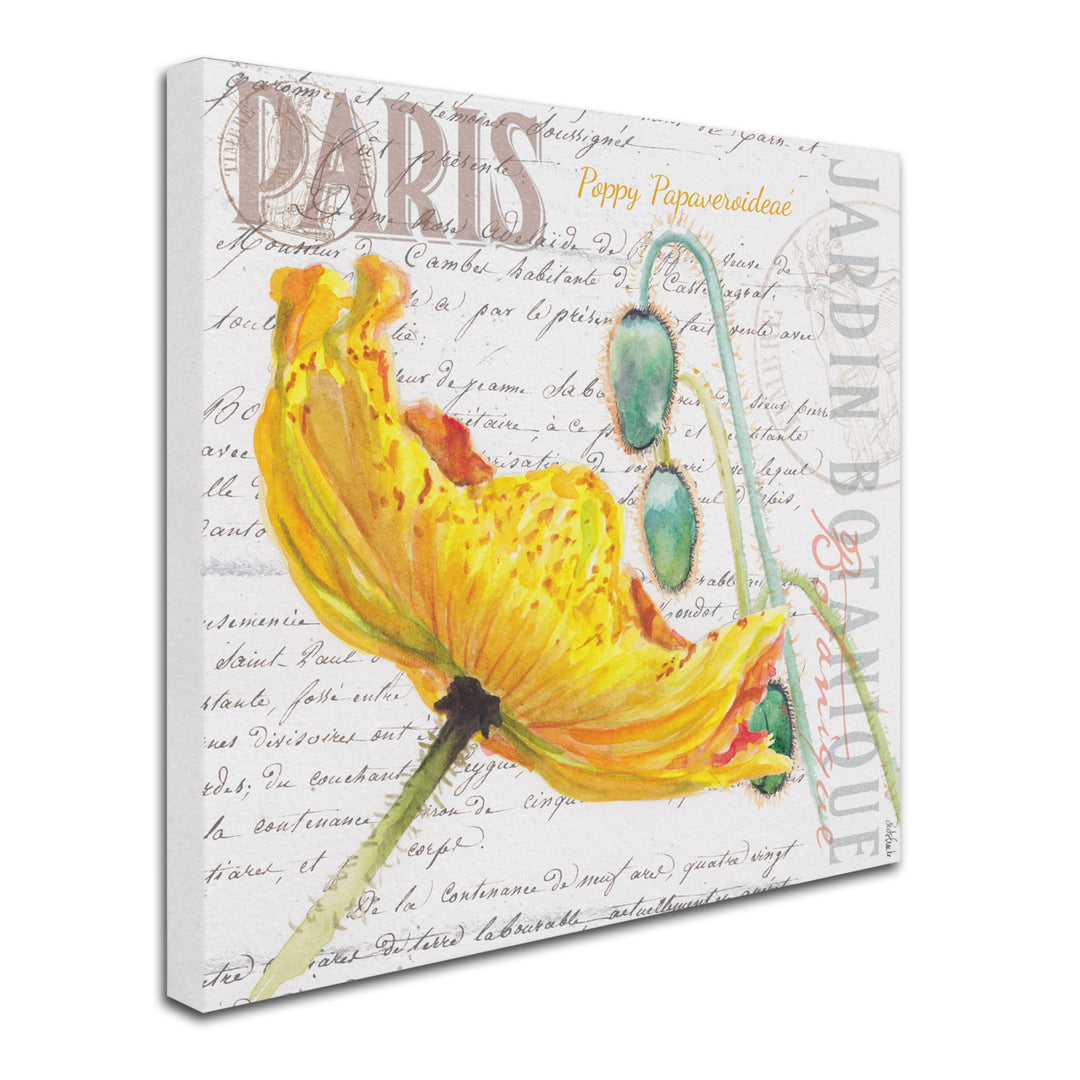 Jennifer Redstreake Paris Botanique Yellow Poppy Huge Canvas Art 35 x 35 Image 3