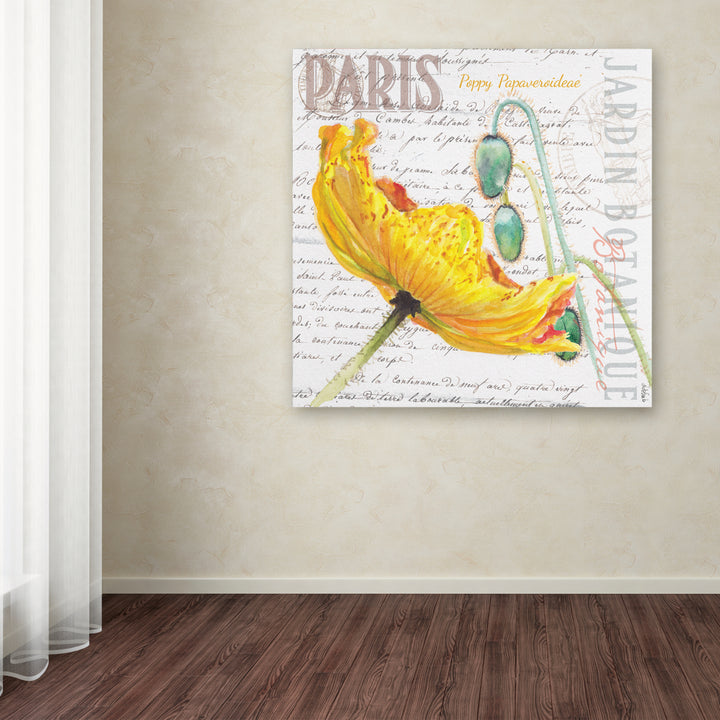Jennifer Redstreake Paris Botanique Yellow Poppy Huge Canvas Art 35 x 35 Image 4