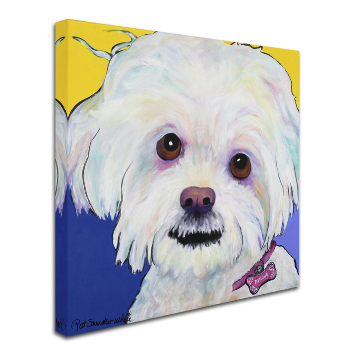 Pat Saunders-White Lucy Huge Canvas Art 35 x 35 Image 3