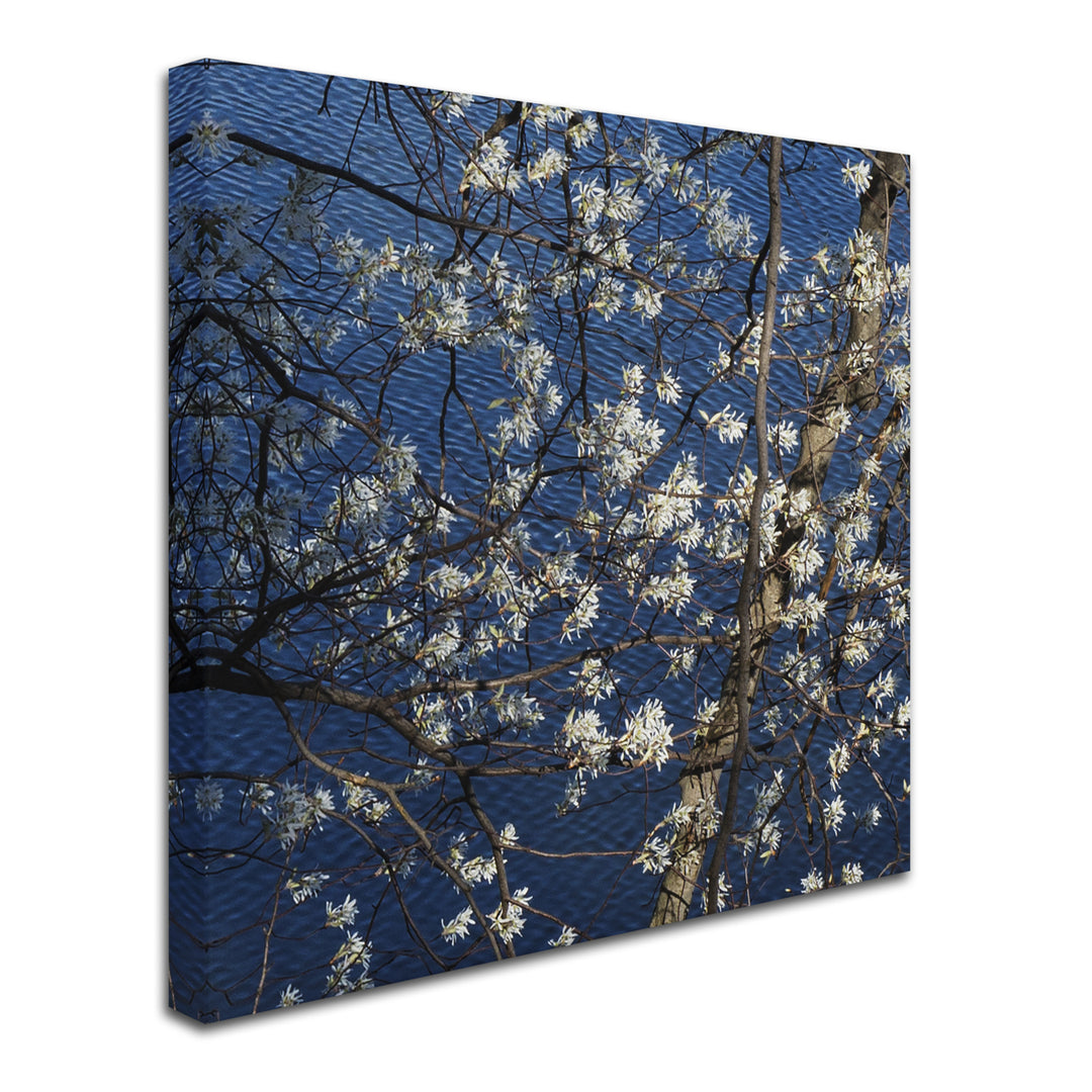 Kurt Shaffer Springtime at the Lake Huge Canvas Art 35 x 35 Image 3