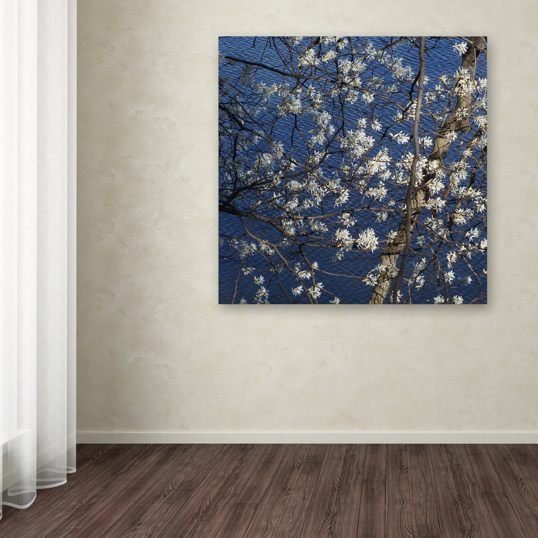 Kurt Shaffer Springtime at the Lake Huge Canvas Art 35 x 35 Image 4