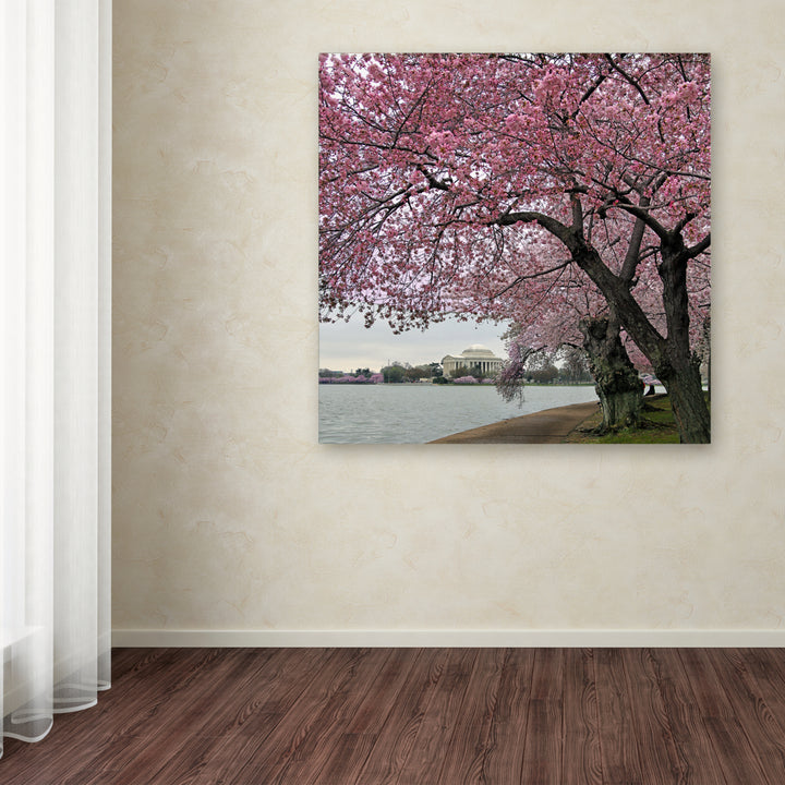 CATeyes Tidal Basin Blossoms Huge Canvas Art 35 x 35 Image 4