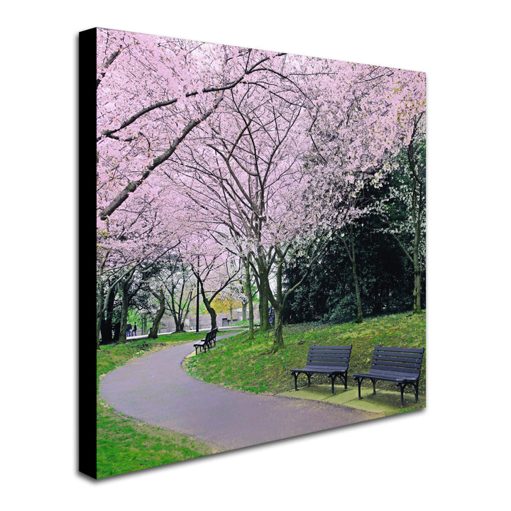CATeyes Spring Path Huge Canvas Art 35 x 35 Image 3