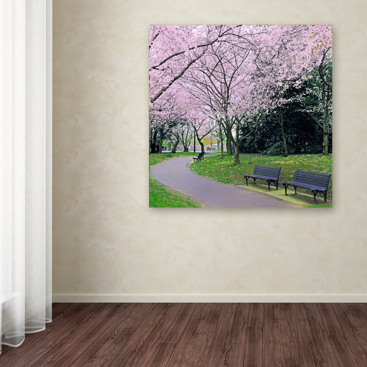 CATeyes Spring Path Huge Canvas Art 35 x 35 Image 4