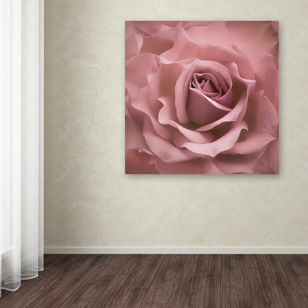 Cora Niele Misty Rose Pink Rose Huge Canvas Art 35 x 35 Image 4