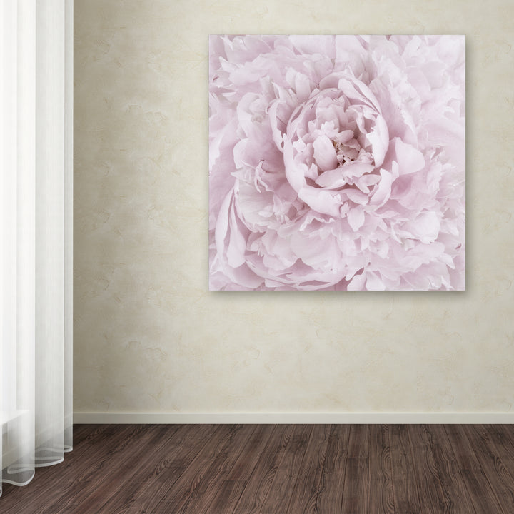 Cora Niele Pink Peony Flower Huge Canvas Art 35 x 35 Image 4