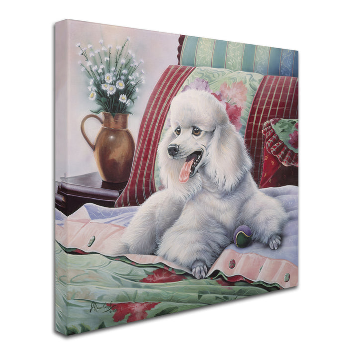 Jenny Newland White Poodle Huge Canvas Art 35 x 35 Image 3