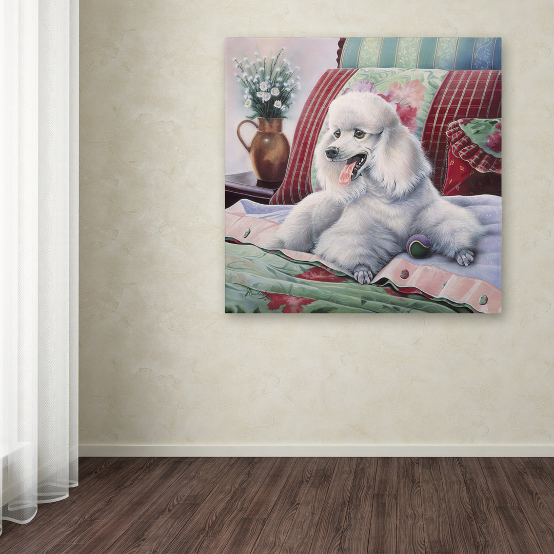 Jenny Newland White Poodle Huge Canvas Art 35 x 35 Image 4