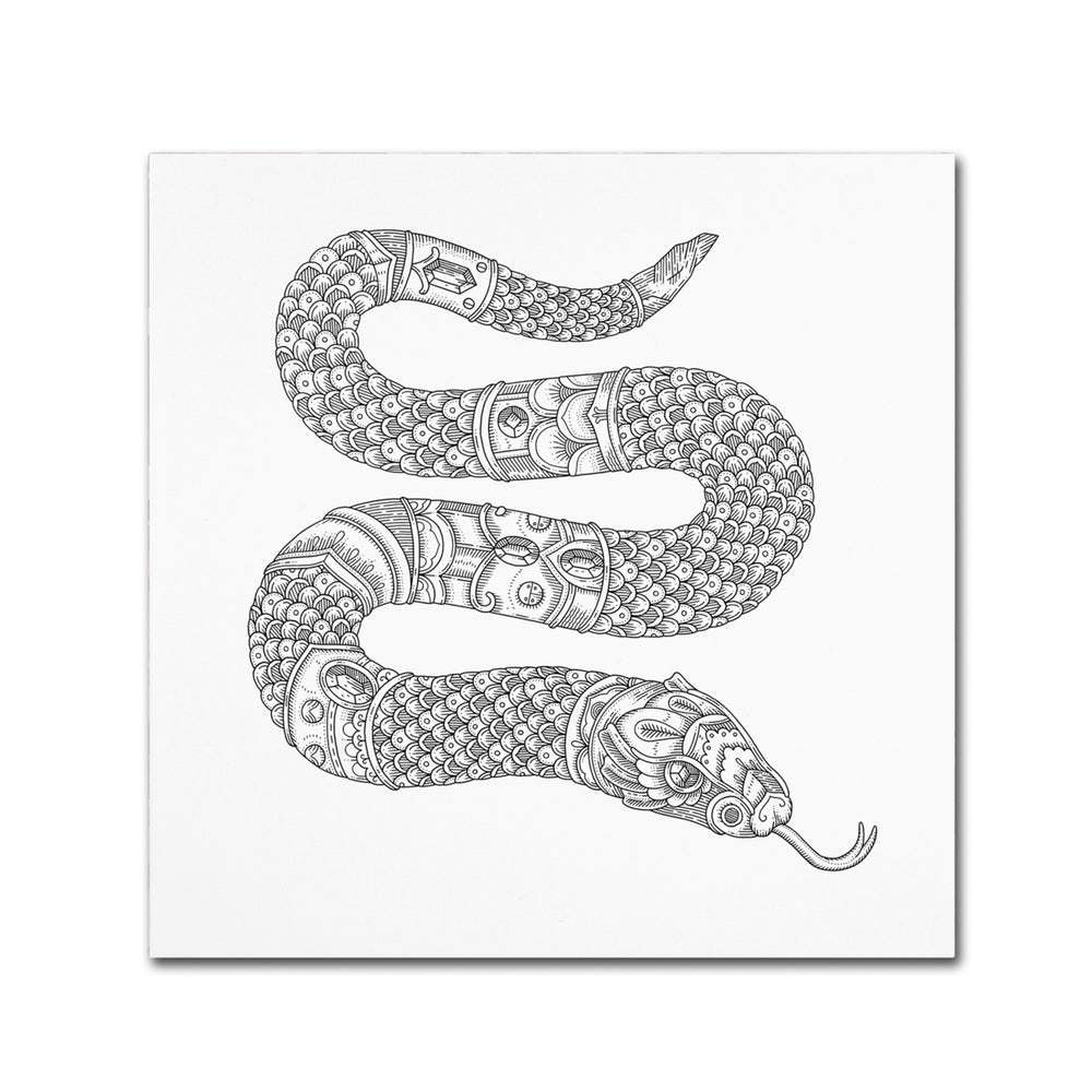 Filippo Cardu Jewel Snake Huge Canvas Art 35 x 35 Image 2