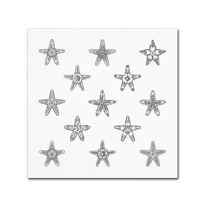 Filippo Cardu Sea Stars Huge Canvas Art 35 x 35 Image 1