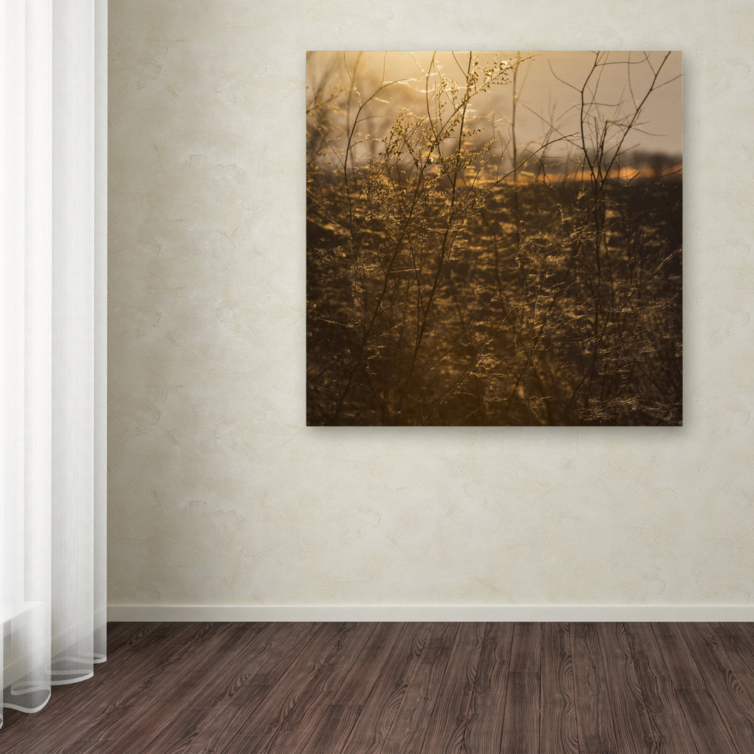 Kurt Shaffer Winters Golden Glow Huge Canvas Art 35 x 35 Image 4
