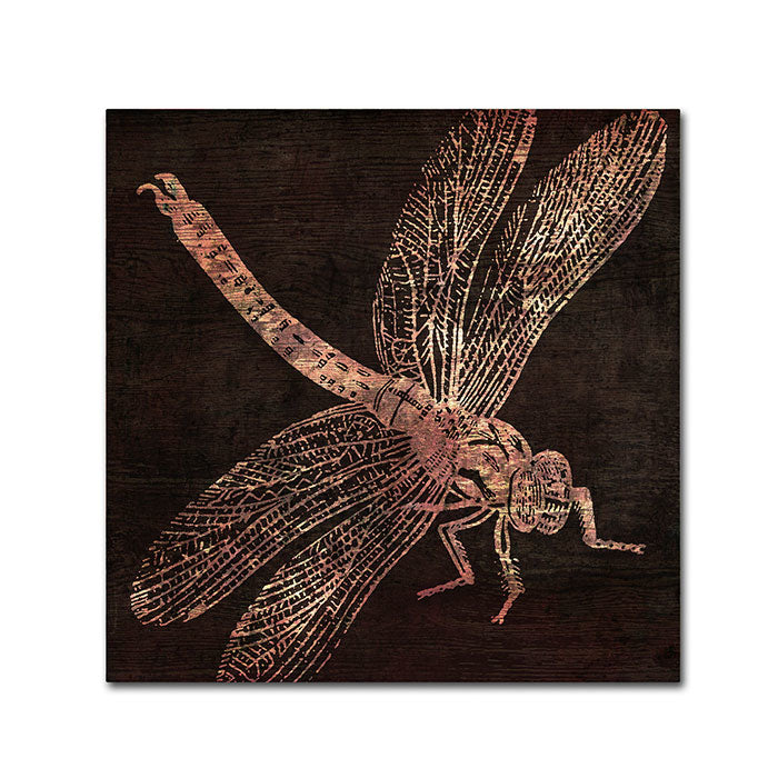 Color Bakery Dragonfly Huge Canvas Art 35 x 35 Image 1