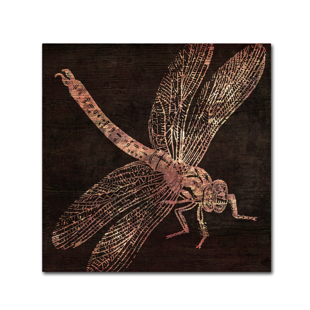 Color Bakery Dragonfly Huge Canvas Art 35 x 35 Image 2
