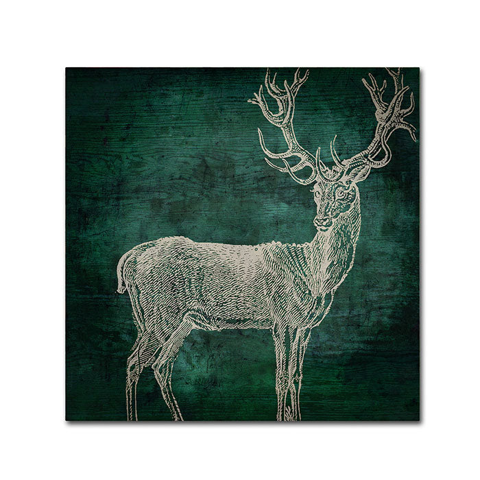 Color Bakery Emerald Deer Huge Canvas Art 35 x 35 Image 1