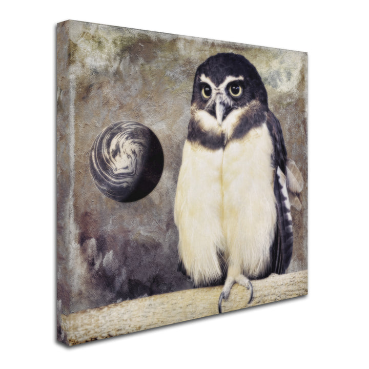 Color Bakery Moon Owl Huge Canvas Art 35 x 35 Image 3