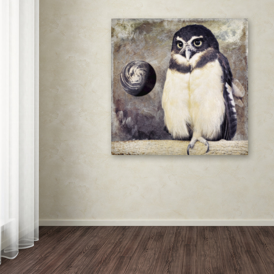 Color Bakery Moon Owl Huge Canvas Art 35 x 35 Image 4