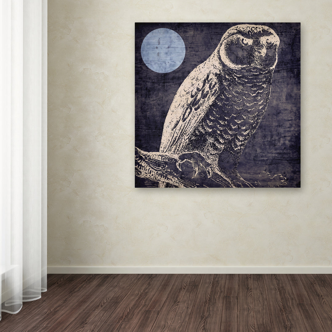 Color Bakery Owl 1 Huge Canvas Art 35 x 35 Image 4