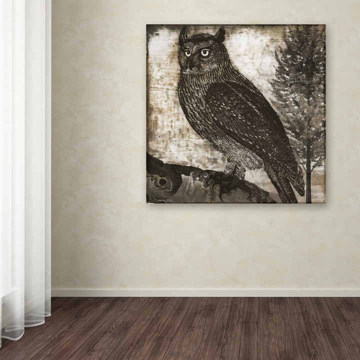 Color Bakery Owl 2 Huge Canvas Art 35 x 35 Image 4
