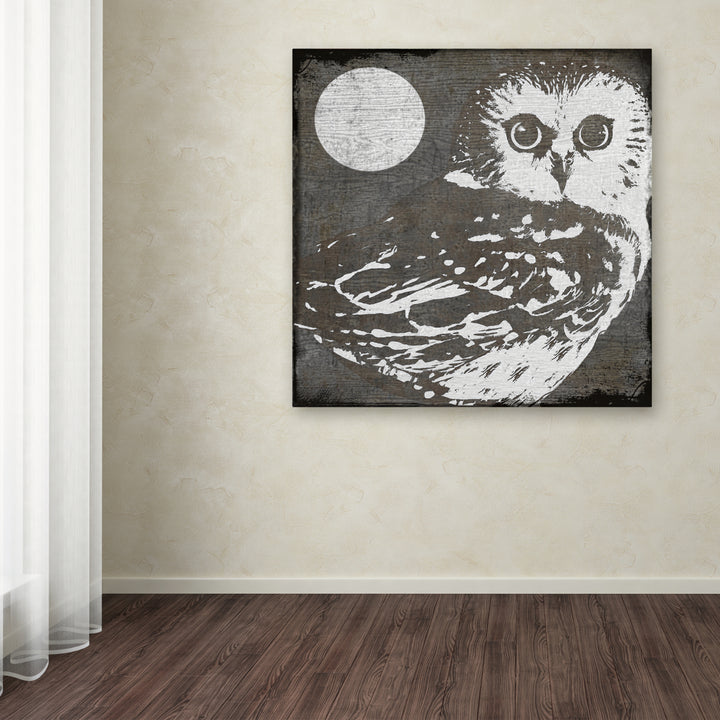 Color Bakery Owl 3 Huge Canvas Art 35 x 35 Image 4