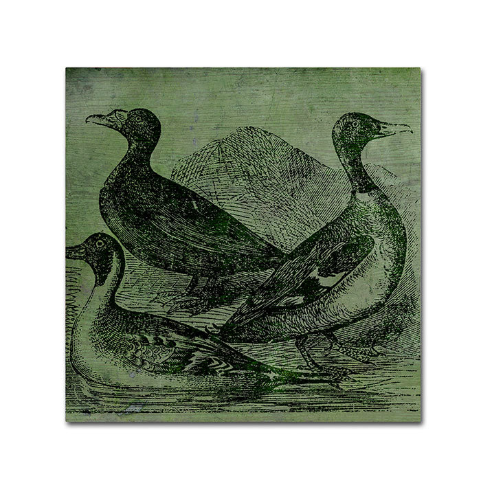 Color Bakery Mallards Huge Canvas Art 35 x 35 Image 1