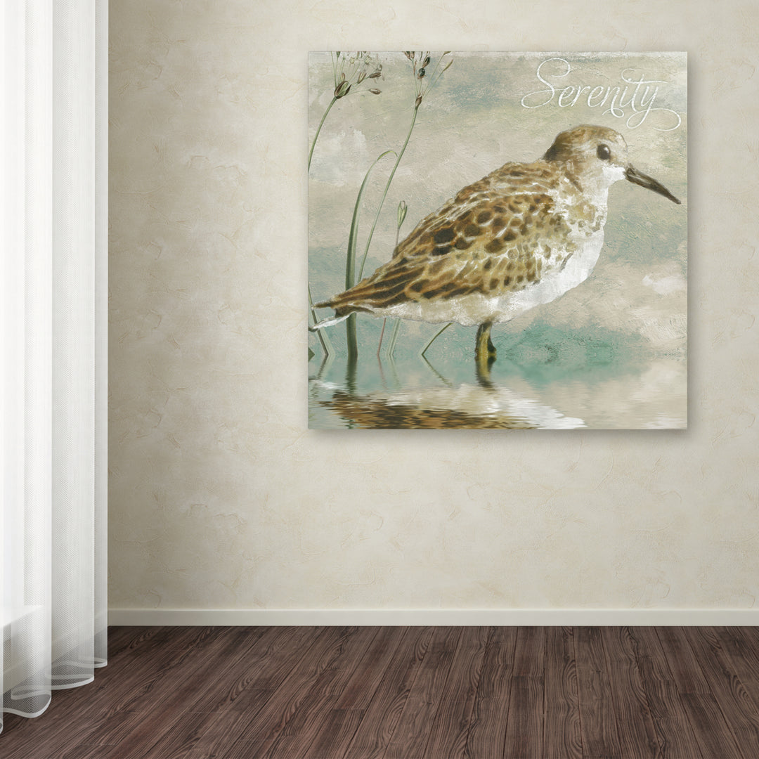 Color Bakery Sand Piper I Huge Canvas Art 35 x 35 Image 4