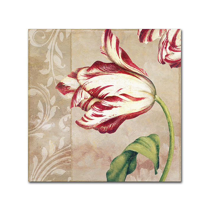 Color Bakery Peppermint Tulips II Huge Canvas Art 35 x 35 Image 1