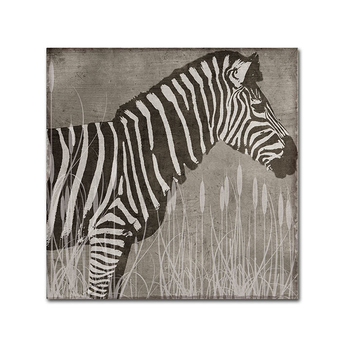 Color Bakery Zebra Huge Canvas Art 35 x 35 Image 1