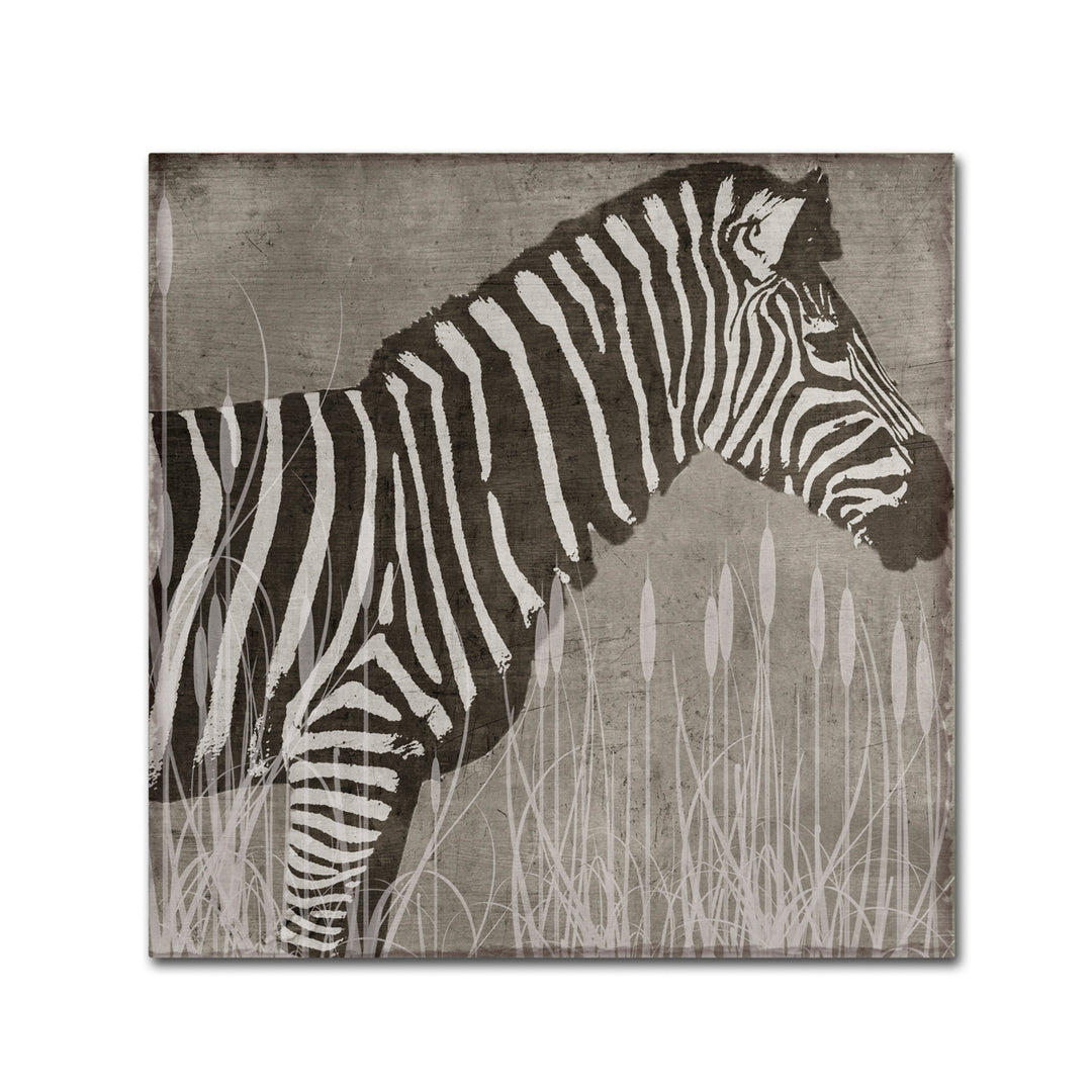 Color Bakery Zebra Huge Canvas Art 35 x 35 Image 2