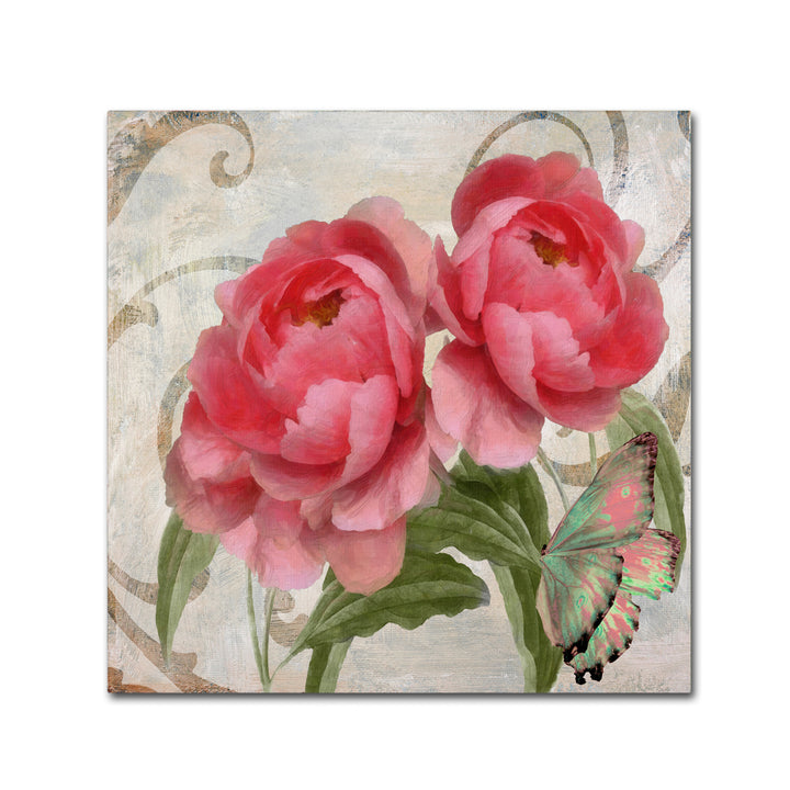 Color Bakery Apricot Peonies I Huge Canvas Art 35 x 35 Image 2