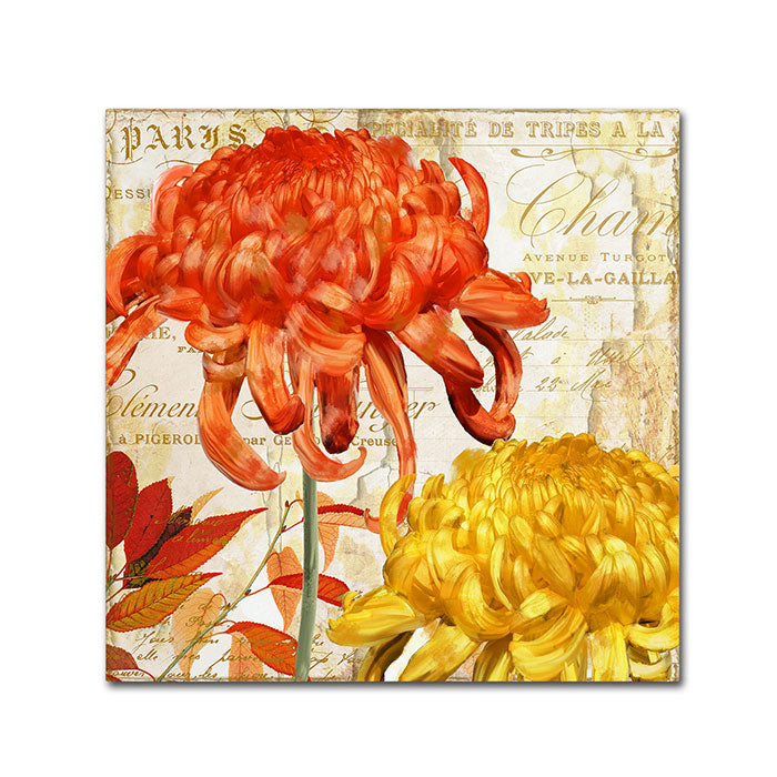 Color Bakery Chrysanthemums I Huge Canvas Art 35 x 35 Image 1