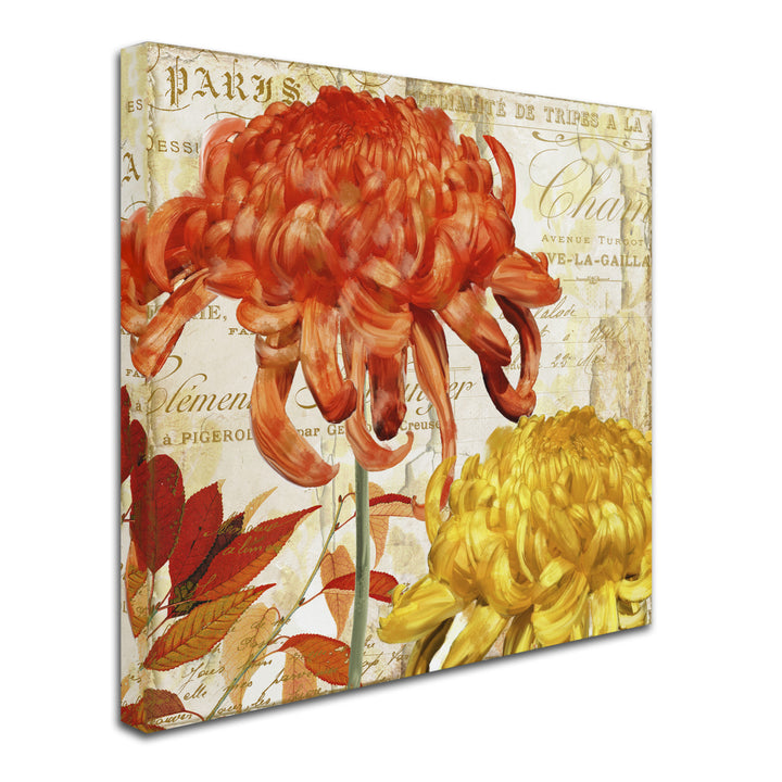 Color Bakery Chrysanthemums I Huge Canvas Art 35 x 35 Image 3